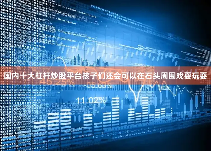 国内十大杠杆炒股平台孩子们还会可以在石头周围戏耍玩耍