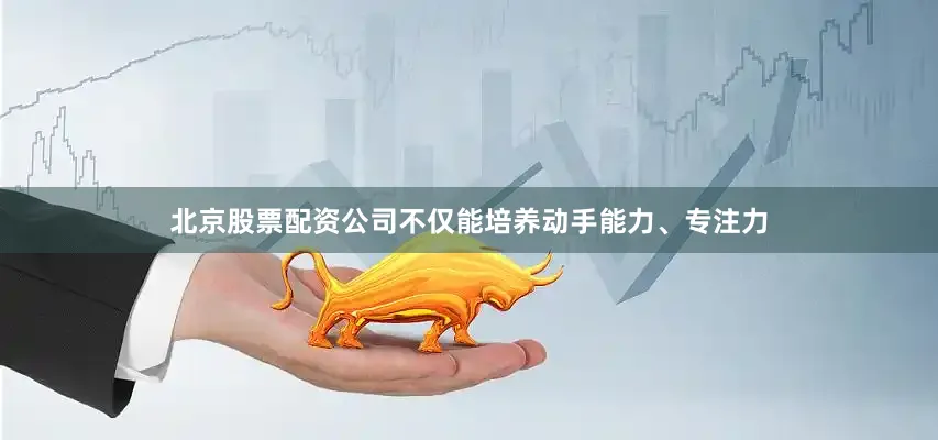 北京股票配资公司不仅能培养动手能力、专注力