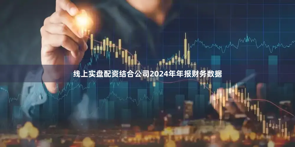 线上实盘配资结合公司2024年年报财务数据